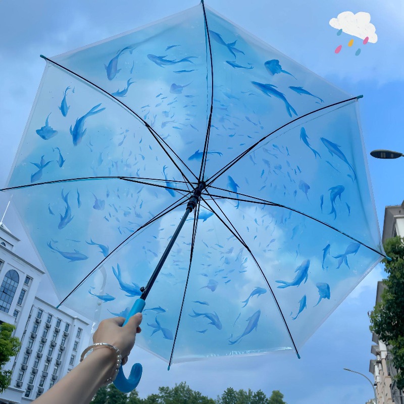Clear Jellyfish Umbrella, Long - đánh giá và giá Photography Gear