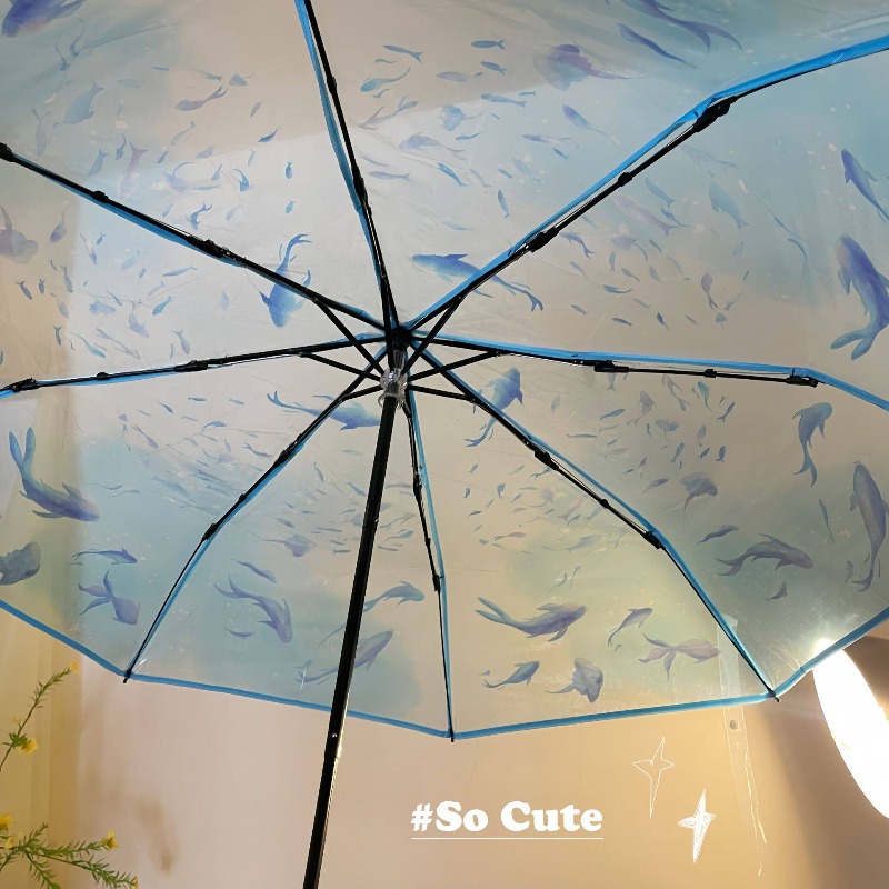 Clear Jellyfish Umbrella, Long - đánh giá và giá Photography Gear
